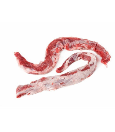 Șopârlă ibérico