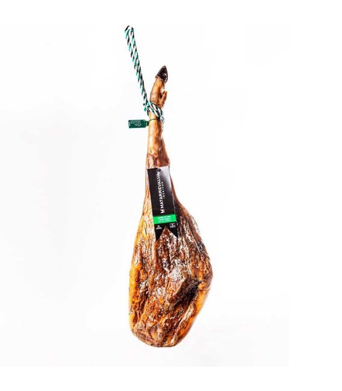 Campo di prosciutto di Cebo 50% Matarrevalva iberica