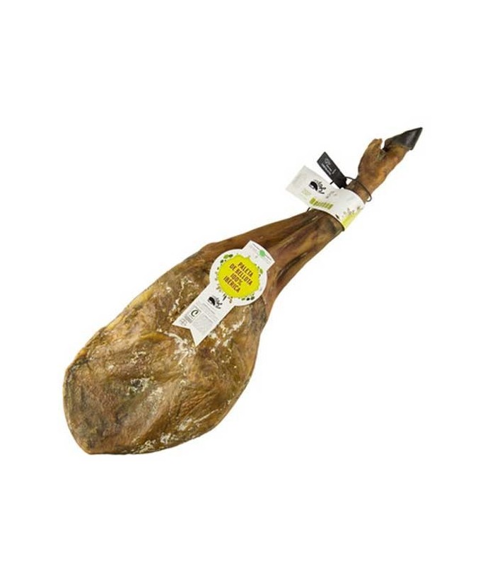 Spalla Bellota iberica al 100%, Campo de Argañán - Salamanca