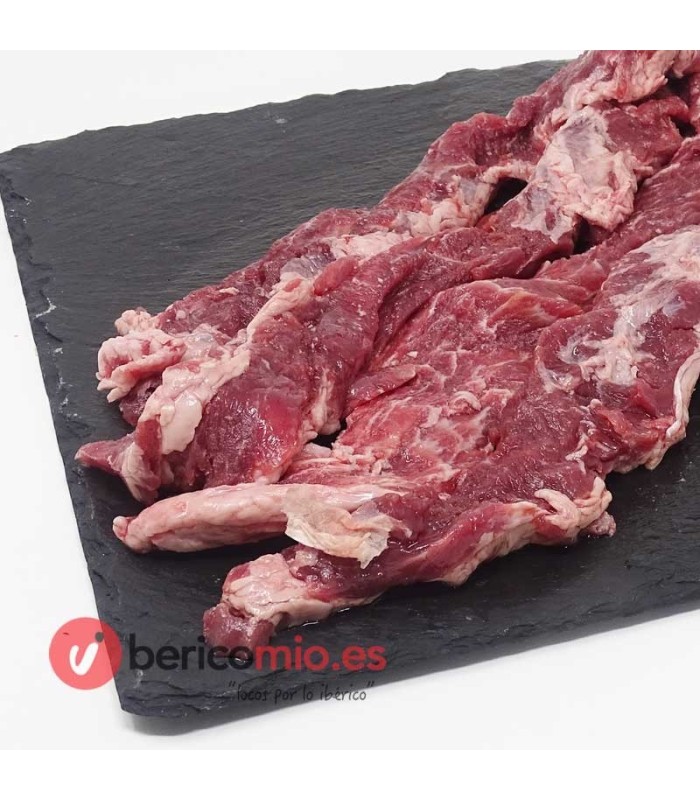 Dettaglio lucertola iberica