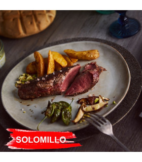 ibérico de surlonge de bellota 2