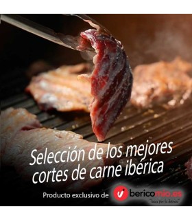 ibérica de petrecere