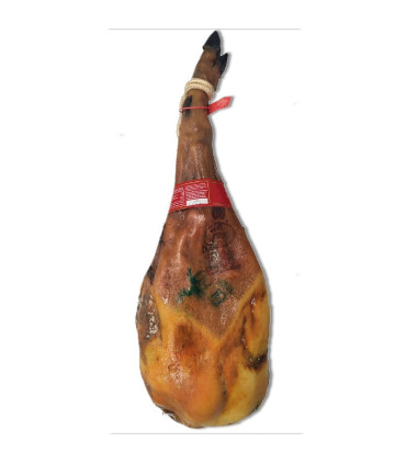 Spalla Bellota - Julián del Águila