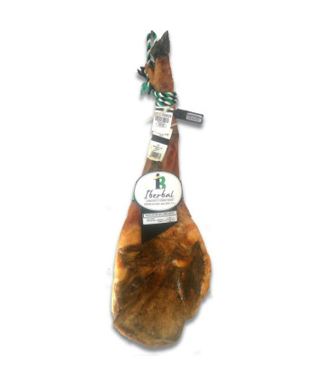 Paleta of bellota 100% Ibérica. Pata Negra of Extremadura - paleta ibérica of bellota - - 1