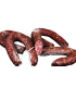 Salsiccia a ferro di cavallo