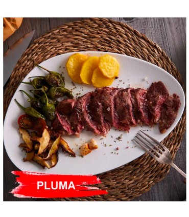 pluma ibérica de bellota