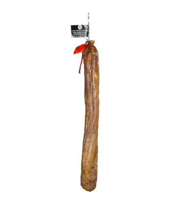 Longe de Cebo 50% race Ibérica