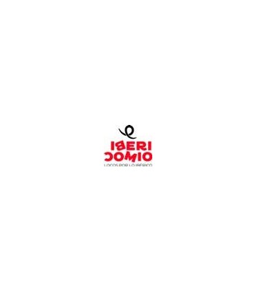 HORECA Galocha Jamón Ibérico Copeaux - HORECA - Jambon et ibérica de viande - - 1