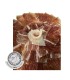 Jambon Teruel AOP tranché - Castelfrío
