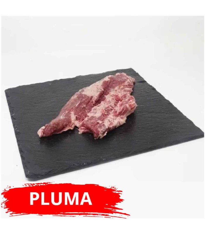 pluma ibérica de bellota
