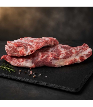Pluma Sánchez Bermejo