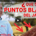 puntos blancos del jamón