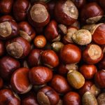 Las castañas gallegas pueden ayudar a reducir el contenido en sal del jamón ibérico